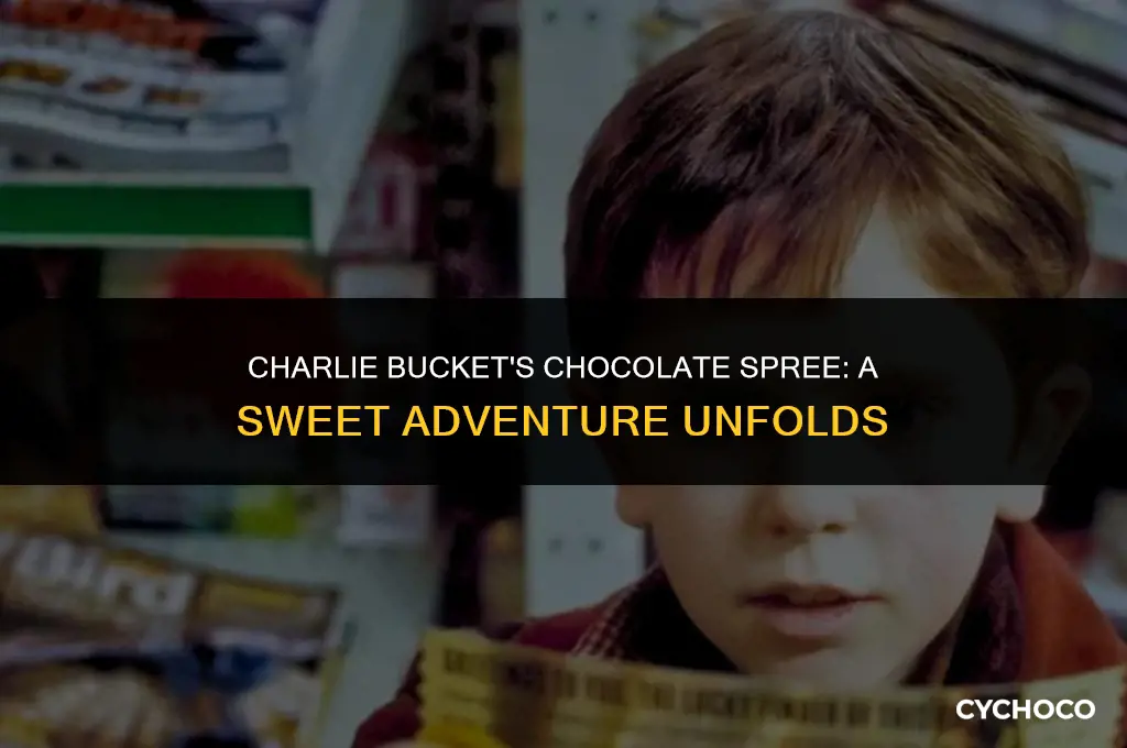 how many chocolate bars did charlie bucket buy