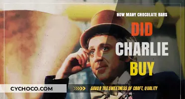 Charlie's Chocolate Spree: Unwrapping the Sweet Mystery