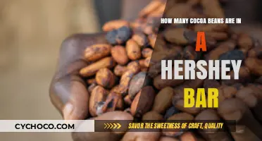 Unwrapping the Mystery: Cocoa Beans in a Hershey Bar