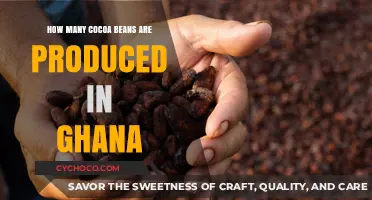 Ghana's Cocoa Production: A Deep Dive into the Bean Count