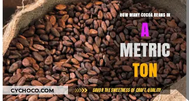 Decoding the Cocoa Conundrum: Beans per Metric Ton Revealed