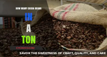 Decoding the Richness: How Many Cocoa Beans Make a Ton?