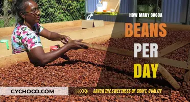 Daily Cocoa Bean Consumption: A Guide to Healthy Indulgence