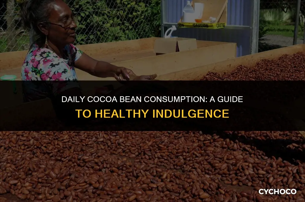 how many cocoa beans per day