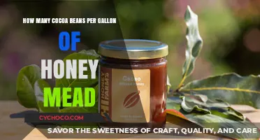 Sweet Fusion: The Perfect Blend of Cocoa Beans and Honey Mead