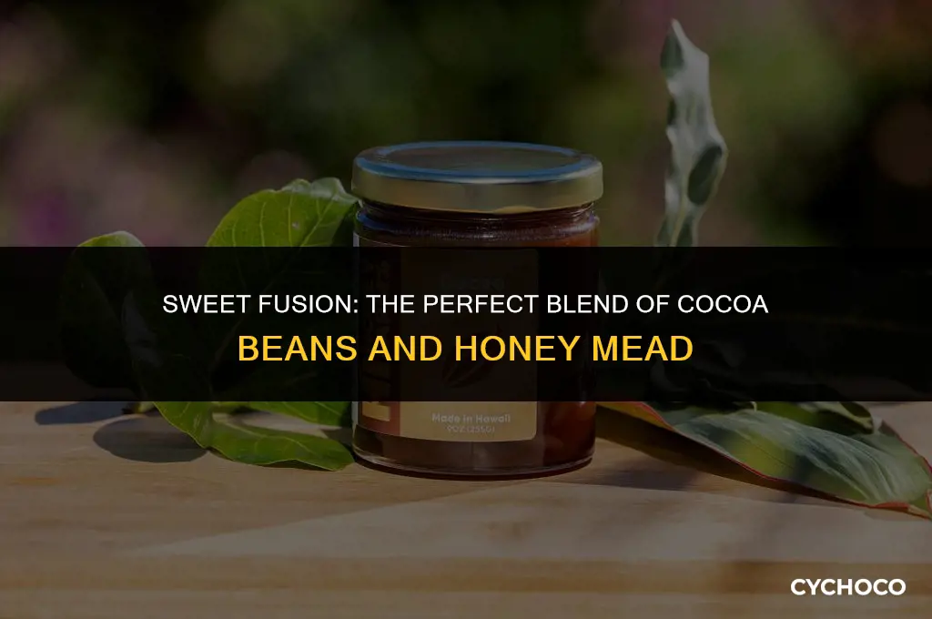 how many cocoa beans per gallon of honey mead