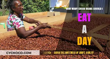 Exploring the Ideal Daily Intake of Cocoa Beans for Optimal Health