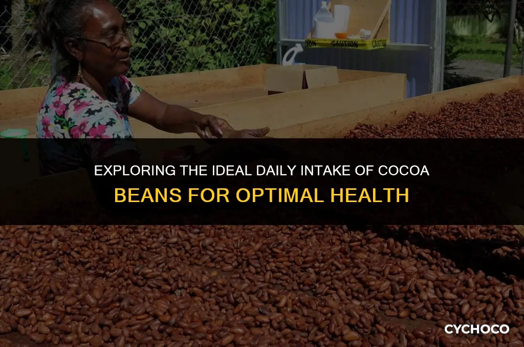 how many cocoa beans should i eat a day