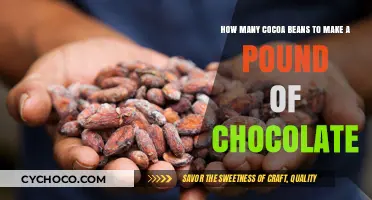 Cocoa Beans to Chocolate: Unveiling the Pound-Making Process