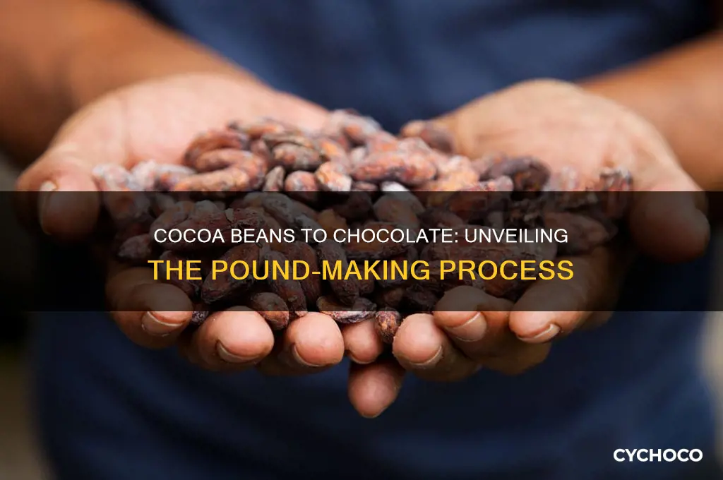 how many cocoa beans to make a pound of chocolate