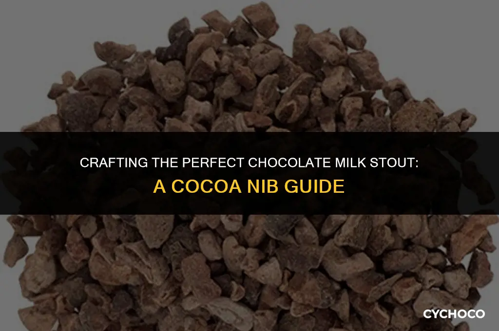how many cocoa nibs for chocolate milk stout