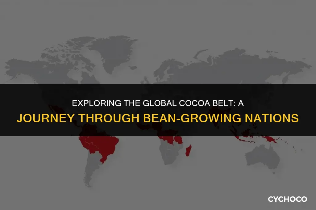 how many countries grow cocoa beans