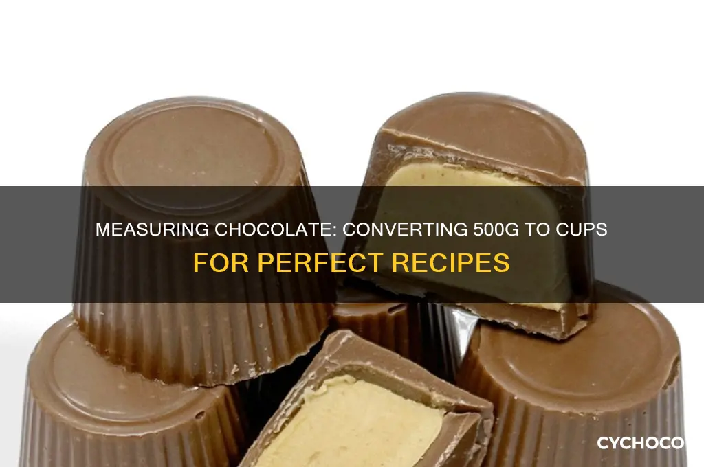 how many cups is 500g of chocolate