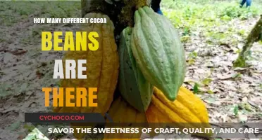 Exploring the Rich Diversity of Cocoa Beans Varieties