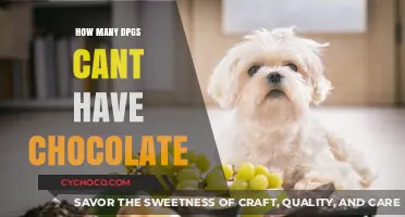 Why Chocolate is Toxic to Dogs: A Comprehensive Guide for Pet Owners