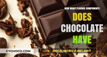 Exploring the Complex Flavor Components of Chocolate: A Detailed Guide