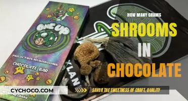 Decoding the Magic: Psilocybin Dosage in Chocolate Treats