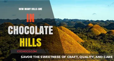 Unveiling the Mysteries of Bohol's Chocolate Hills: A Comprehensive Guide