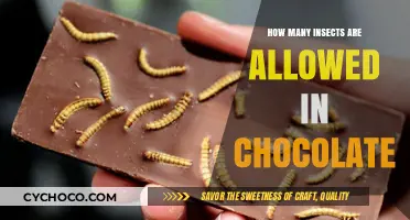 Decoding the Sweet Mystery: Insect Allowance in Chocolate Unveiled