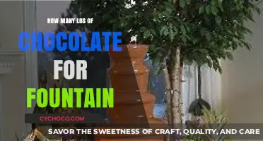 Sweet Success: Choosing the Perfect Chocolate Quantity for Your Fountain