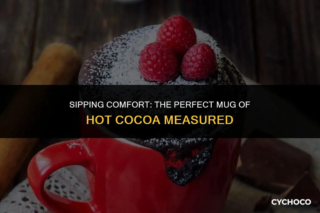 how many milliliters is a mug of hot cocoa