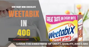 Decoding the Mini Chocolate Weetabix: A 40g Serving Size Mystery