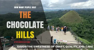 Exploring the Chocolate Hills: A Guide to Visitor Numbers and More