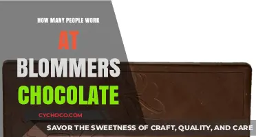 Inside Blommer's Chocolate: Unveiling the Workforce Behind the Sweet Treats