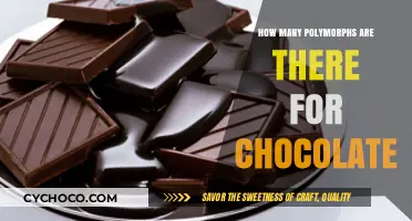 Exploring the Fascinating World of Chocolate Polymorphs: A Comprehensive Guide