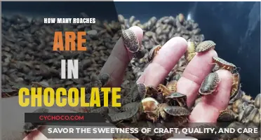 Unveiling the Truth: Are There Really Roaches in Chocolate?