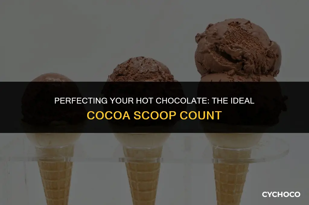 how many scoops of cocoa for hot chocolate