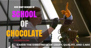 Exploring the Sweet Journey: School of Chocolate Seasons Uncovered
