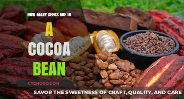 Unlocking the Secrets of Cocoa: A Journey into Bean Anatomy