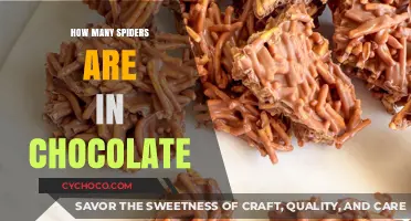 Unraveling the Mystery: Are There Really Spiders in Chocolate?
