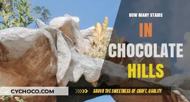 Unraveling the Mystery of Chocolate Hills' Staircase to Heaven