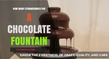 Sweet Symphony: Strawberries and Chocolate Fountain Perfection
