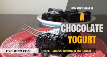 Sweet Treat Breakdown: Sugar Content in Chocolate Yogurt Revealed