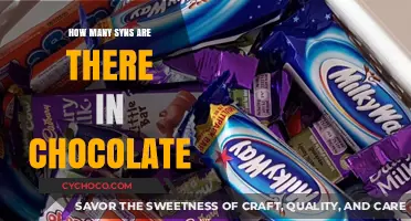 Decoding the Sweet Mystery: Syns in Chocolate Explained