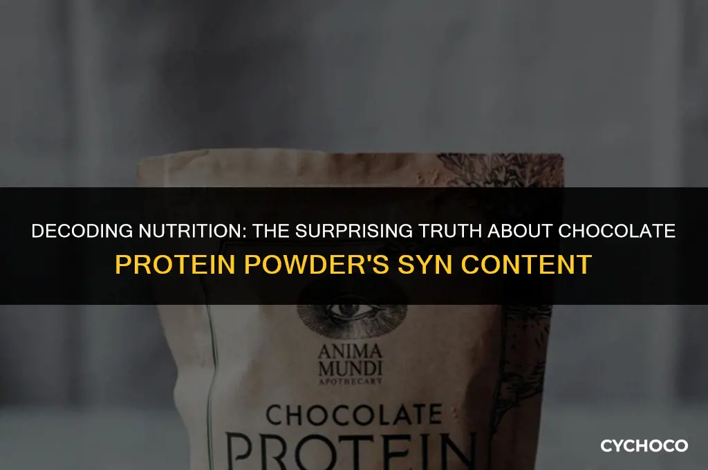 how many syns in chocolate protein powder