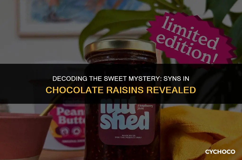 how many syns in chocolate raisins
