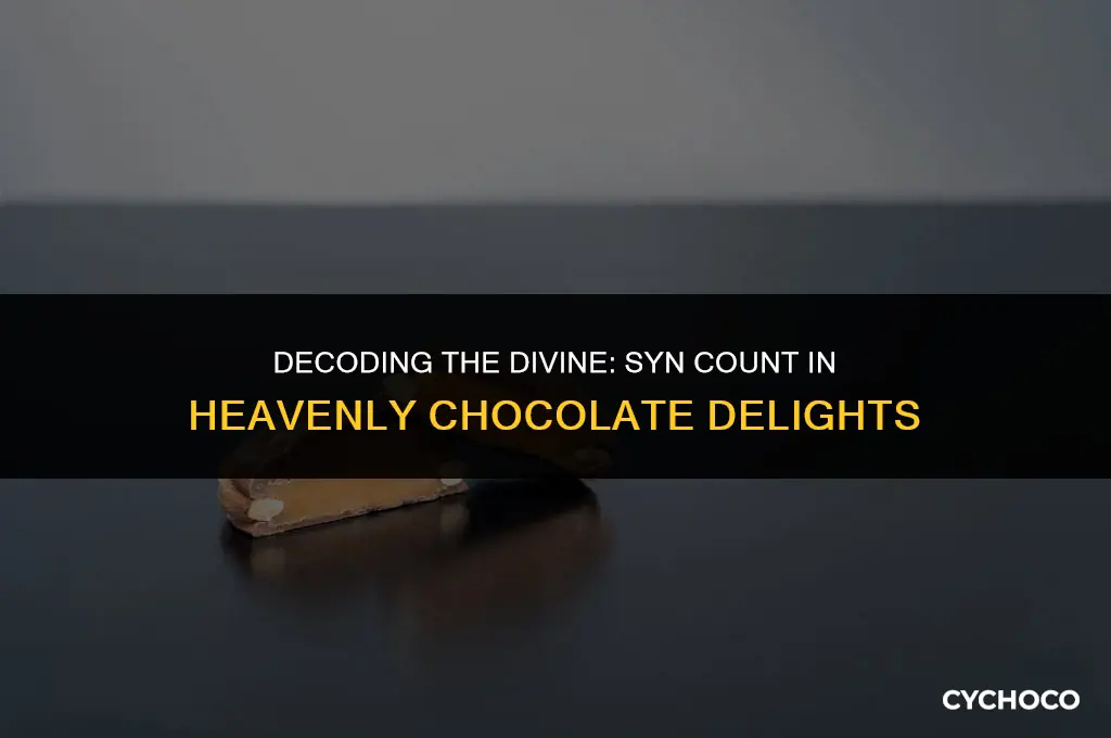 how many syns in heavenly chocolate