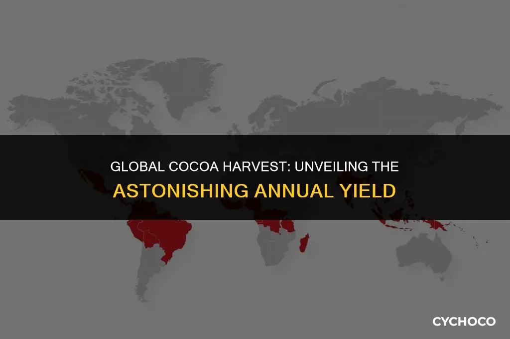 how many tons of cocoa beans are harvested every year