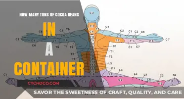 Exploring the Capacity: Cocoa Beans and Container Limits
