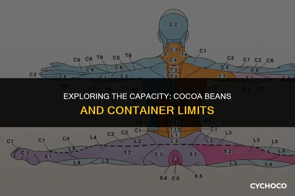 how many tons of cocoa beans in a container