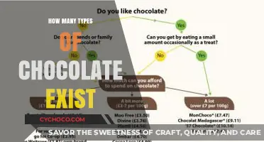 Exploring the Rich World of Chocolate Varieties