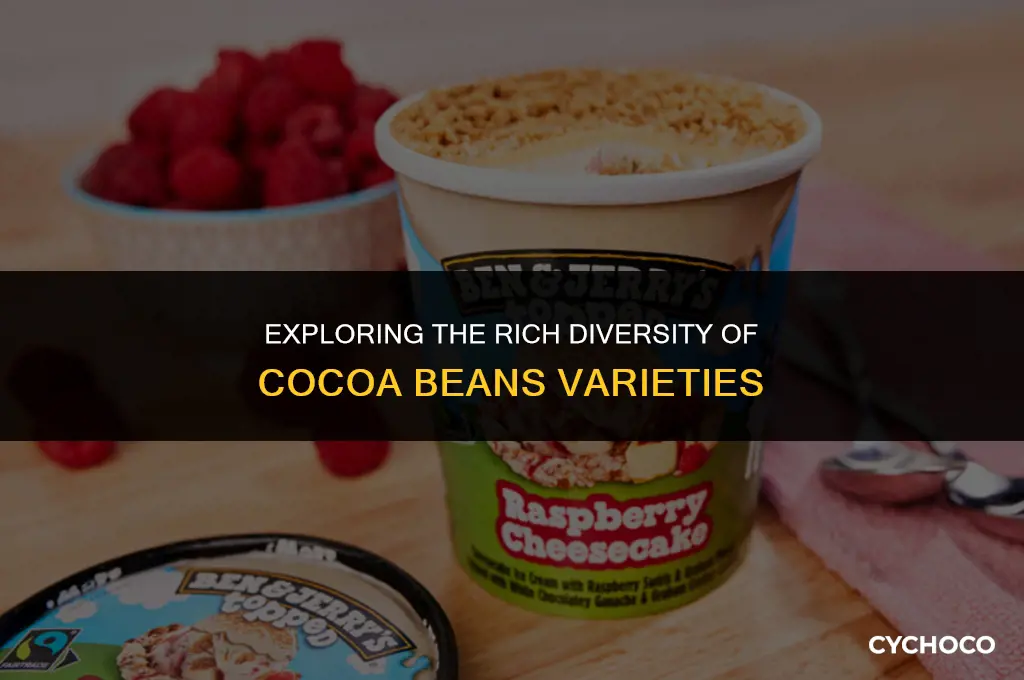 how many types of cocoa beans