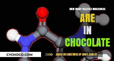 Unveiling Chocolate's Aromatic Secrets: A Molecular Perspective