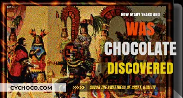 Unveiling the Sweet Mystery: A Journey Through Chocolate's Ancient Origins