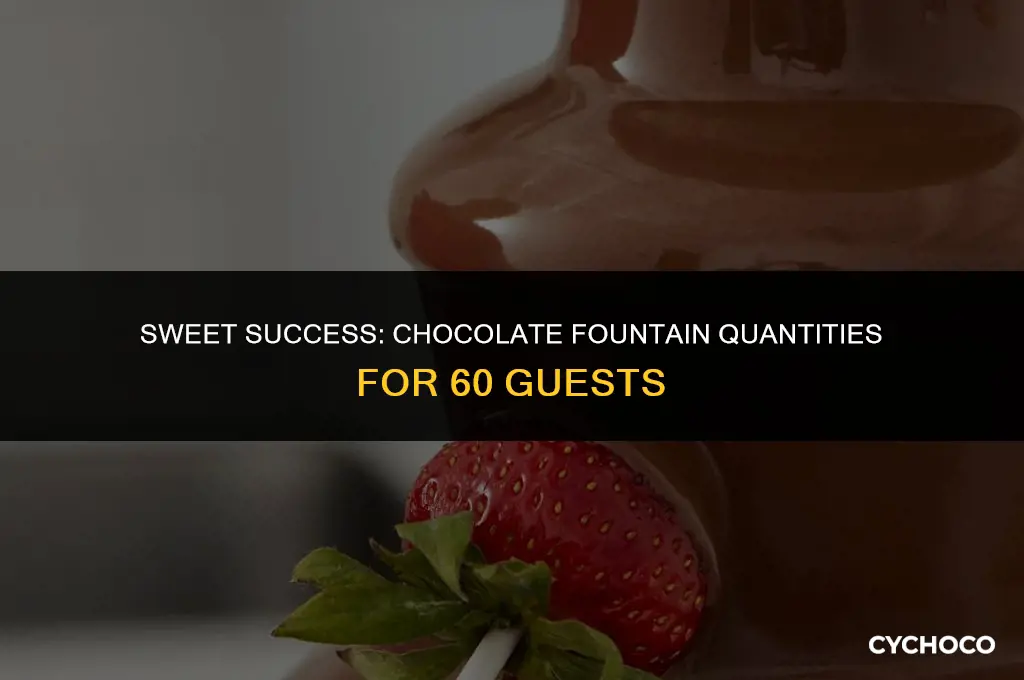 how mcuh chocolate for fountain 60 people