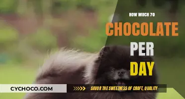 Daily Chocolate Delight: Balancing Indulgence and Health